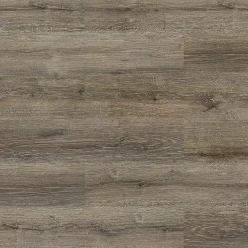 SPC FloorBee Project 1002 Рея - купить в интернет-магазине Diopt.ru SPC FloorBee Project 1002 Рея - купить в интернет-магазине Diopt.ru