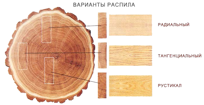 Варианты распила древесины