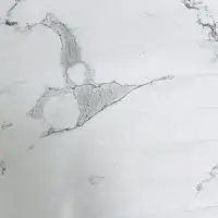 SPC Dolce Floring Pietra DF-101  Мрамор Бьянко