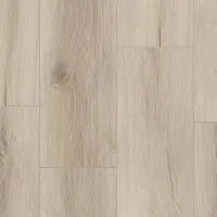 SPC FUTURE HOUSE TYLER 200x1220х4,1