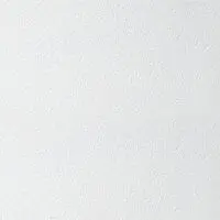 Потолочная плита BIOGUARD PLAIN Board 90RH 600x600x12