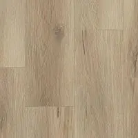  SPC FUTURE HOUSE CHESTER 200x1220х4,1