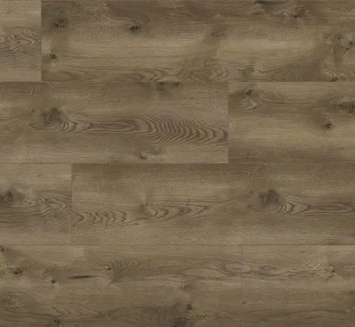 Classen Evolution WR 63110 Дуб Сиена - купить в интернет-магазине Diopt.ru