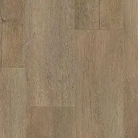 SPC FUTURE HOUSE GREGOR 200x1220х4,1