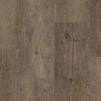 SPC FUTURE HOUSE WILLY 200x1220х4,1