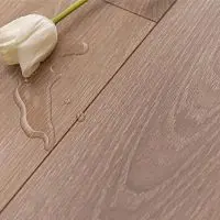 Winlerk Comfort Oak Alland - C908