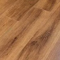 Winlerk REALITY Oak Lans - R806