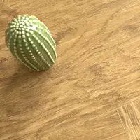 RESPECT SPC  (Елка) 2304 Грецкий Орех