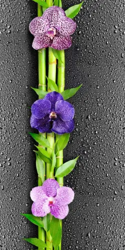 Панель ПВХ 351 - купить в интернет-магазине Diopt.ru