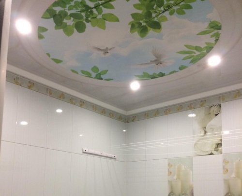 Unique декоративный потолок ПВХ Голуби - купить в интернет-магазине Diopt.ru фото 3