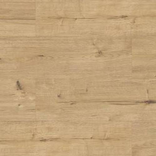 Classen 832-4 XL WR 56215 Дуб серый - купить в интернет-магазине Diopt.ru Classen 832-4 XL WR 56215 Дуб серый - купить в интернет-магазине Diopt.ru