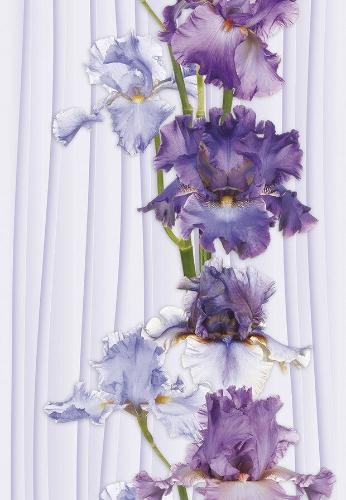 Панель ПВХ Ирис 349 - купить в интернет-магазине Diopt.ru Панель ПВХ Ирис 349 - купить в интернет-магазине Diopt.ru