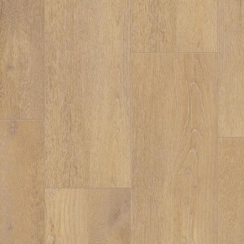 SPC FUTURE HOUSE DION 200x1220х4,1 - купить в интернет-магазине Diopt.ru SPC FUTURE HOUSE DION 200x1220х4,1 - купить в интернет-магазине Diopt.ru