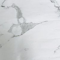 SPC Dolce Floring Pietra DF-101  Мрамор Бьянко