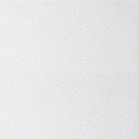 Потолочная плита BIOGUARD PLAIN Board 90RH 600x600x12