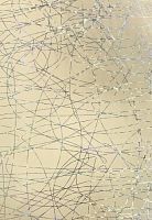 Панель ПВХ голографические  голография GK-31