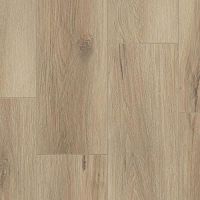  SPC FUTURE HOUSE CHESTER 200x1220х4,1