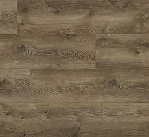 Classen Evolution WR 63110 Дуб Сиена