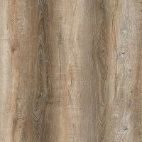 SPC Dolce Floring Tetro DF-306 Дуб Неаполь