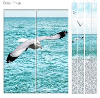 Океан Птицы