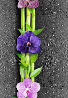 Панель ПВХ Орхидея  351