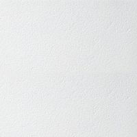Потолочная плита Armstrong RETAIL board 1200x600x12