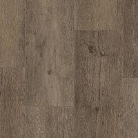 SPC FUTURE HOUSE WILLY 200x1220х4,1