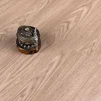  Winlerk Comfort Oak Hofen - C902