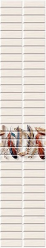 Стеновые ПВХ панели фотопечать Плюмаж фон - купить в интернет-магазине Diopt.ru