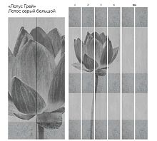 Лотус Грей Серый