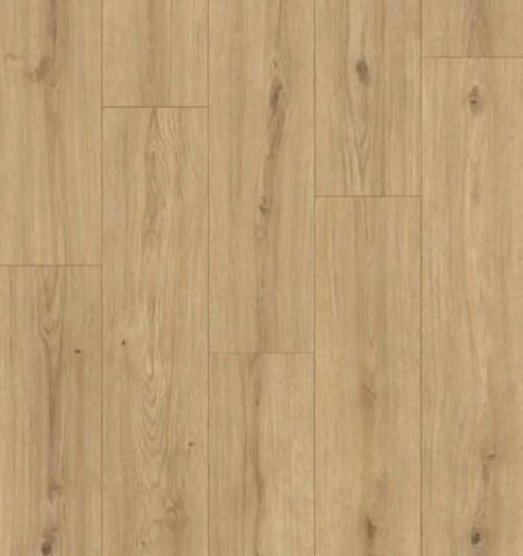 Classen Naturale 1874134 Дуб Алькасар - купить в интернет-магазине Diopt.ru