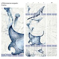 Обитатели морей Скат