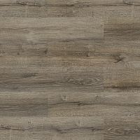 SPC FloorBee Project 1002 Рея