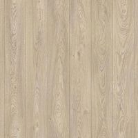 Classen Naturale 1874196 Дуб молодой